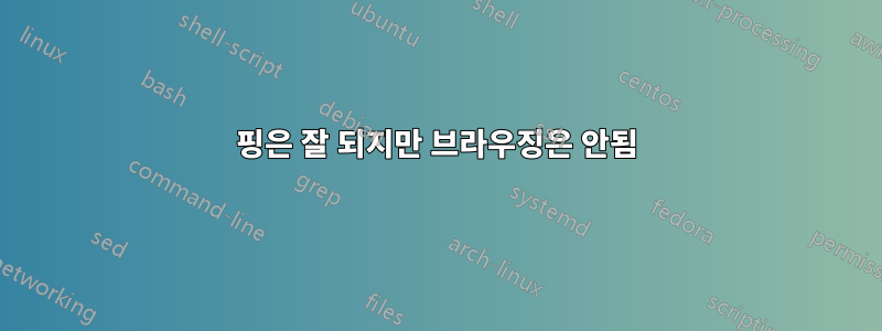 핑은 잘 되지만 브라우징은 안됨