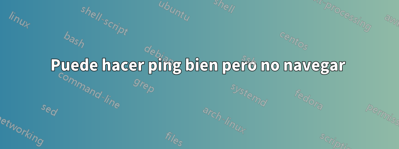 Puede hacer ping bien pero no navegar