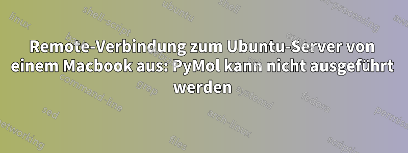 Remote-Verbindung zum Ubuntu-Server von einem Macbook aus: PyMol kann nicht ausgeführt werden