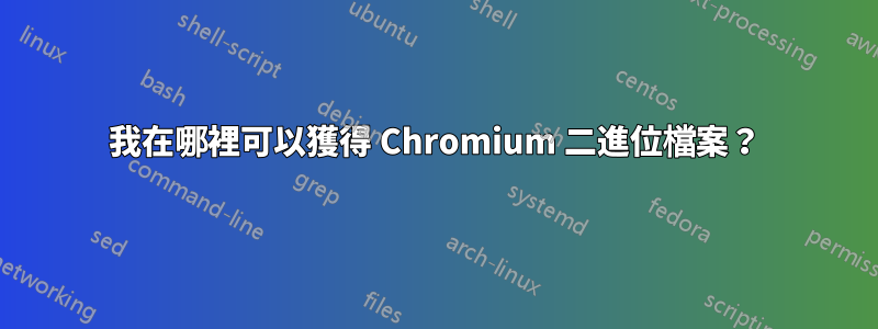 我在哪裡可以獲得 Chromium 二進位檔案？