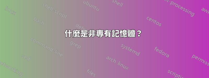 什麼是非專有記憶體？