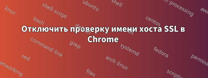 Отключить проверку имени хоста SSL в Chrome