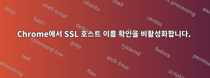 Chrome에서 SSL 호스트 이름 확인을 비활성화합니다.