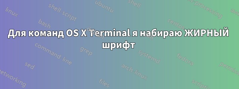 Для команд OS X Terminal я набираю ЖИРНЫЙ шрифт