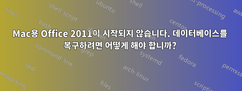 Mac용 Office 2011이 시작되지 않습니다. 데이터베이스를 복구하려면 어떻게 해야 합니까?