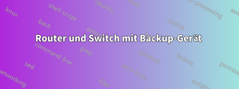 Router und Switch mit Backup-Gerät