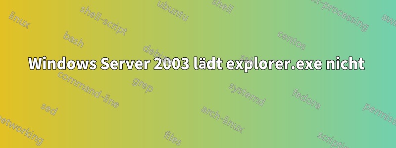 Windows Server 2003 lädt explorer.exe nicht