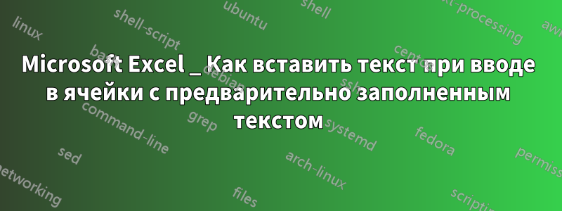 Microsoft Excel _ Как вставить текст при вводе в ячейки с предварительно заполненным текстом