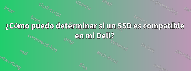 ¿Cómo puedo determinar si un SSD es compatible en mi Dell?