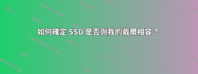 如何確定 SSD 是否與我的戴爾相容？