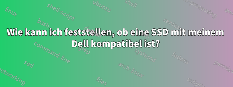 Wie kann ich feststellen, ob eine SSD mit meinem Dell kompatibel ist?