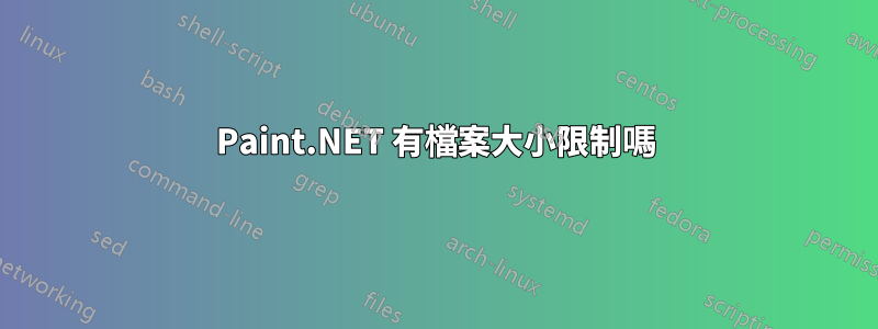 Paint.NET 有檔案大小限制嗎