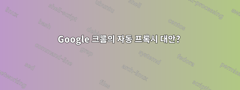 Google 크롬의 자동 프록시 대안?