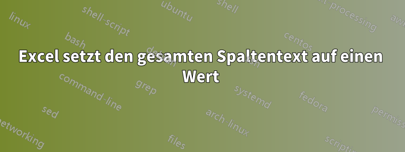 Excel setzt den gesamten Spaltentext auf einen Wert