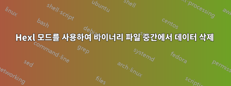 Hexl 모드를 사용하여 바이너리 파일 중간에서 데이터 삭제