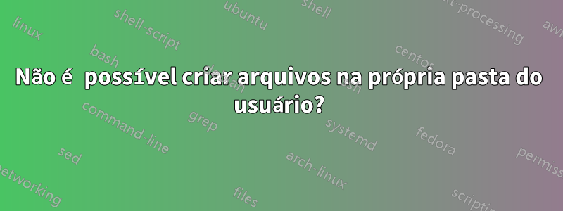 Não é possível criar arquivos na própria pasta do usuário?