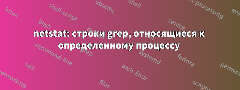 netstat: строки grep, относящиеся к определенному процессу