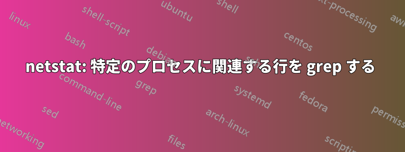 netstat: 特定のプロセスに関連する行を grep する