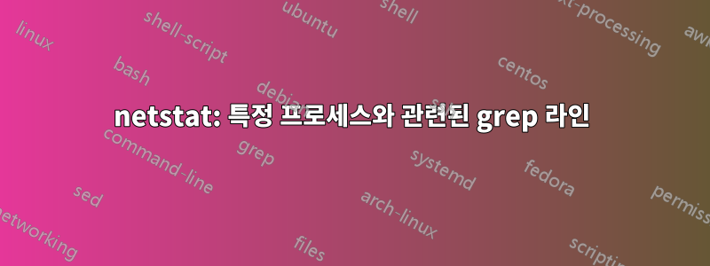 netstat: 특정 프로세스와 관련된 grep 라인