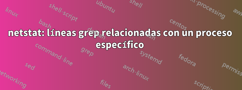 netstat: líneas grep relacionadas con un proceso específico