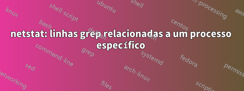 netstat: linhas grep relacionadas a um processo específico