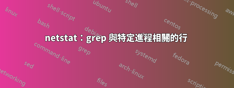 netstat：grep 與特定進程相關的行