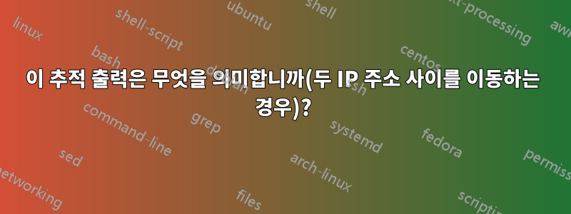 이 추적 출력은 무엇을 의미합니까(두 IP 주소 사이를 이동하는 경우)?