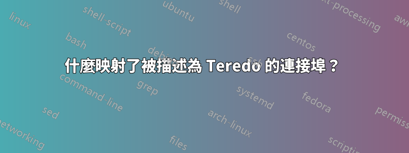 什麼映射了被描述為 Teredo 的連接埠？