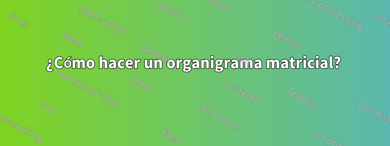 ¿Cómo hacer un organigrama matricial?