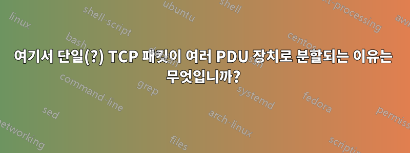 여기서 단일(?) TCP 패킷이 여러 PDU 장치로 분할되는 이유는 무엇입니까?