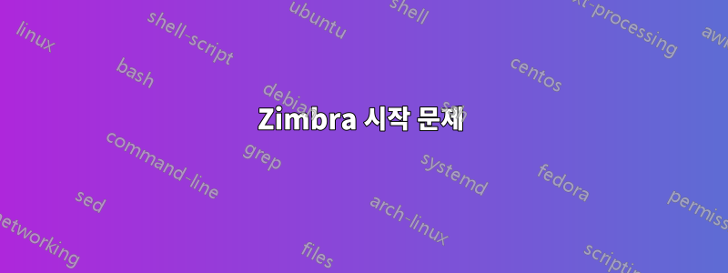 Zimbra 시작 문제