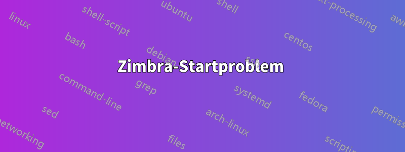 Zimbra-Startproblem