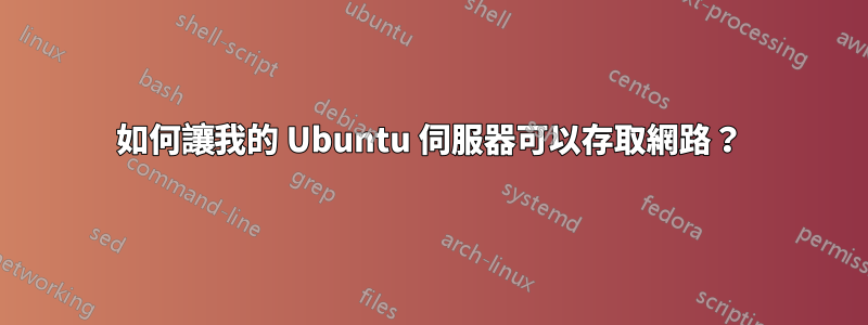 如何讓我的 Ubuntu 伺服器可以存取網路？