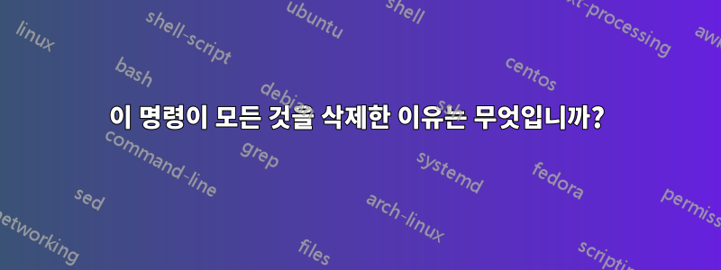 이 명령이 모든 것을 삭제한 이유는 무엇입니까?