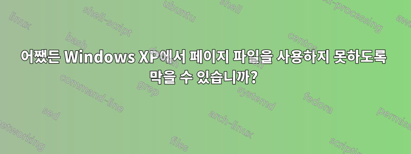 어쨌든 Windows XP에서 페이지 파일을 사용하지 못하도록 막을 수 있습니까?