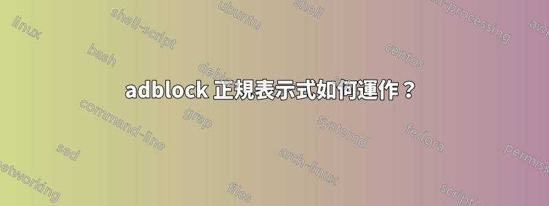 adblock 正規表示式如何運作？