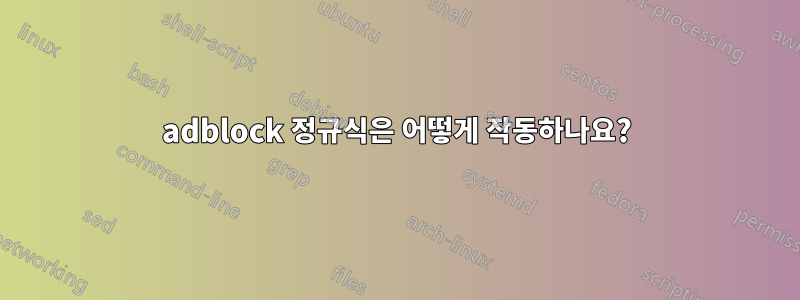 adblock 정규식은 어떻게 작동하나요?