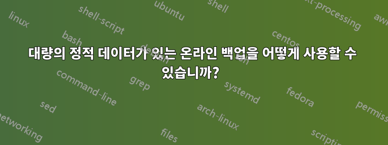 대량의 정적 데이터가 있는 온라인 백업을 어떻게 사용할 수 있습니까? 