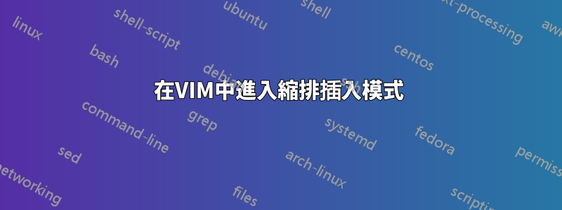 在VIM中進入縮排插入模式