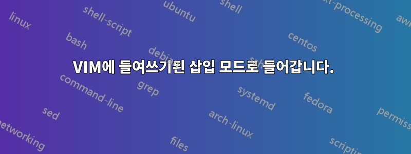 VIM에 들여쓰기된 삽입 모드로 들어갑니다.