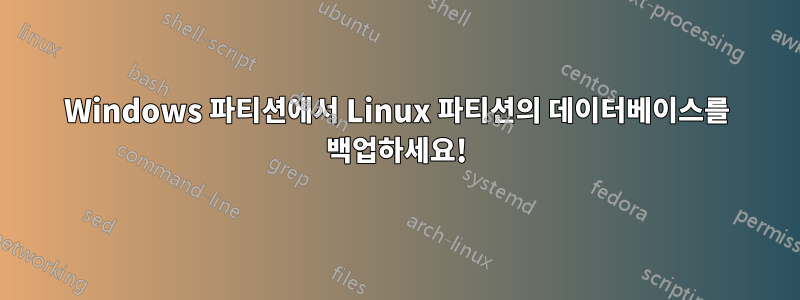 Windows 파티션에서 Linux 파티션의 데이터베이스를 백업하세요!