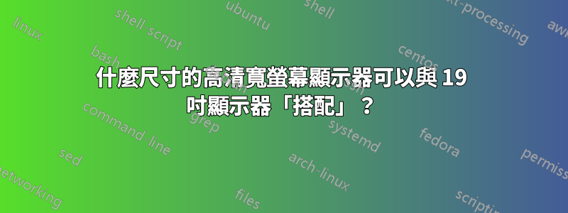 什麼尺寸的高清寬螢幕顯示器可以與 19 吋顯示器「搭配」？