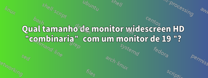 Qual tamanho de monitor widescreen HD "combinaria" com um monitor de 19 "?