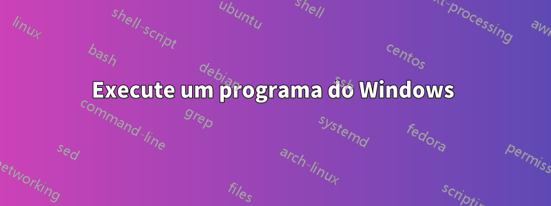 Execute um programa do Windows