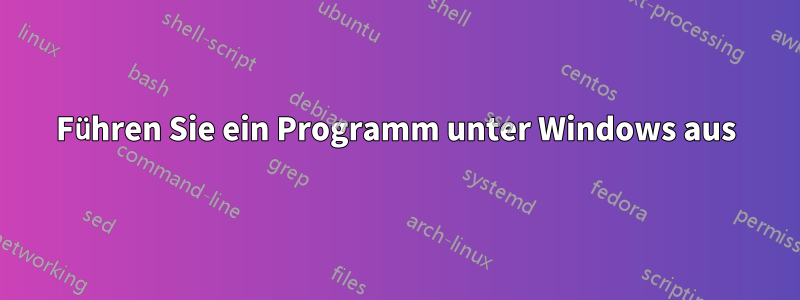 Führen Sie ein Programm unter Windows aus