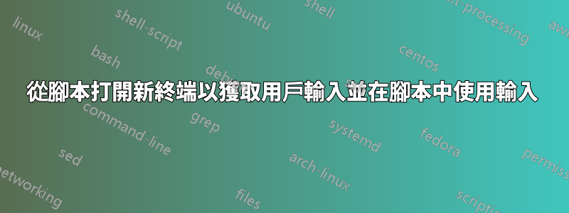 從腳本打開新終端以獲取用戶輸入並在腳本中使用輸入