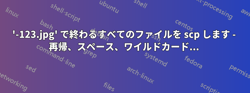 '-123.jpg' で終わるすべてのファイルを scp します - 再帰、スペース、ワイルドカード...