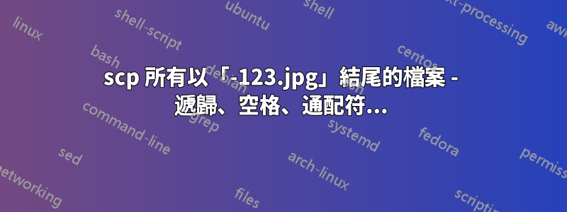 scp 所有以「-123.jpg」結尾的檔案 - 遞歸、空格、通配符...