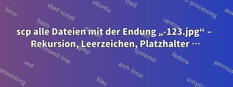 scp alle Dateien mit der Endung „-123.jpg“ – Rekursion, Leerzeichen, Platzhalter …