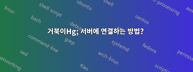 거북이Hg; 서버에 연결하는 방법?